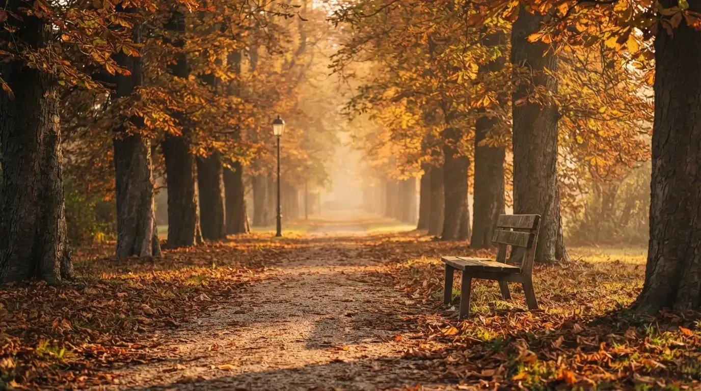 Eine Parkallee mit Kastanienbäumen und einer leeren Bank, Herbstlaub bedeckt den Kiesweg.