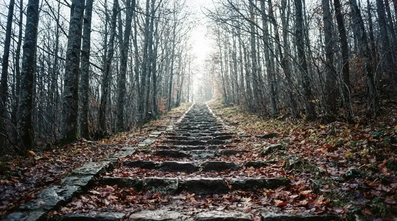 Eine Steintreppe führt einen Hügel hinauf, die Stufen sind mit Herbstlaub bedeckt und seitlich stehen kahle Bäume.