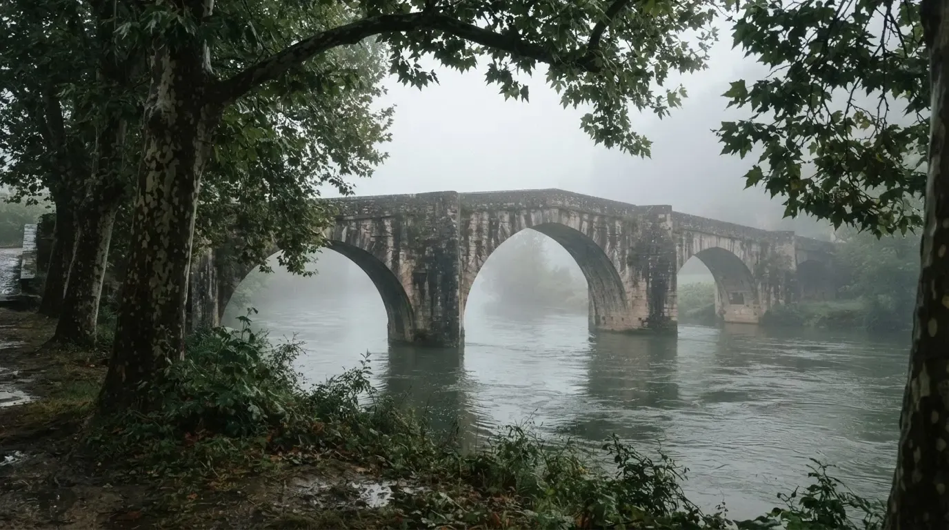 Ein breiter Fluss fliesst unter einer Steinbrücke im Nebel, am Ufer stehen Platanen mit nassen Blättern.