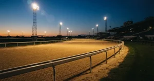 Online Hunderennen Wetten Schweiz 2026: Bewilligung, Kosten, Marge