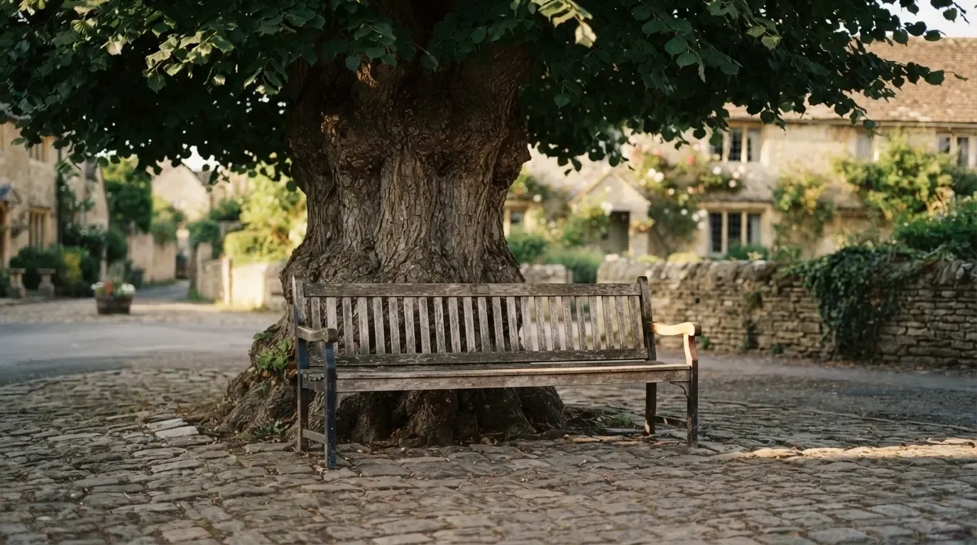 Eine leere Bank steht unter einer alten Linde auf einem Dorfplatz im Schatten.