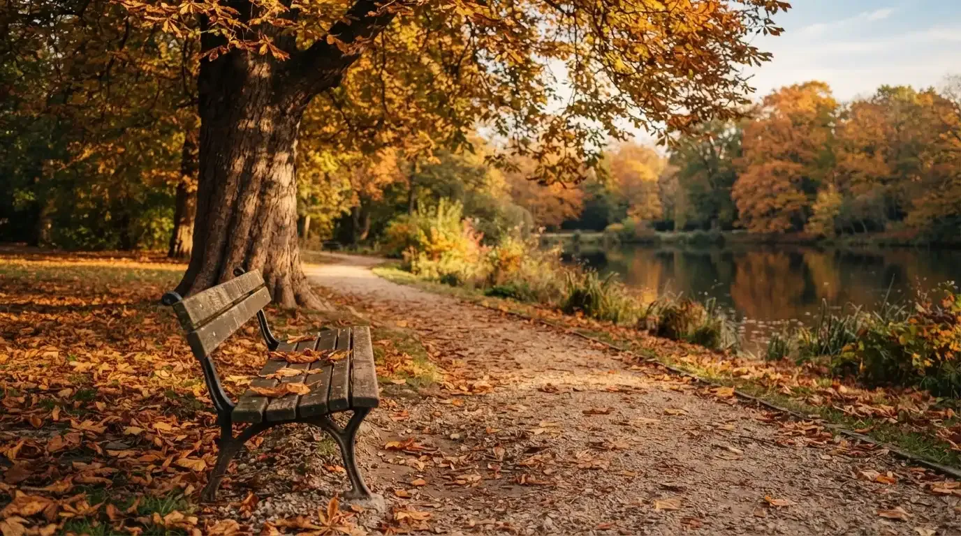 Eine Parkbank unter einer Kastanie, Herbstlaub bedeckt den Kiesweg, im Hintergrund ein stiller Teich.